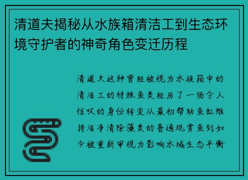清道夫揭秘从水族箱清洁工到生态环境守护者的神奇角色变迁历程 清道夫揭秘从水族箱清洁工到生态环境守护者的神奇角色变迁历程